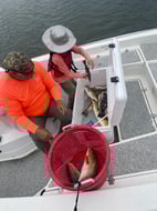 Photo from Christine