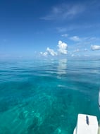 Photo from Whitley