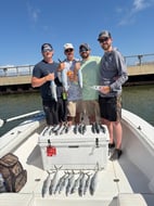Photo from Tanner