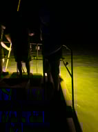 Photo from Kristopher