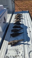 Photo from Jered