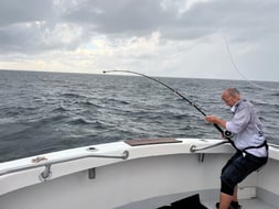 Photo from Donald