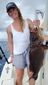 Broomtail Grouper fishing in Mount Pleasant, South Carolina