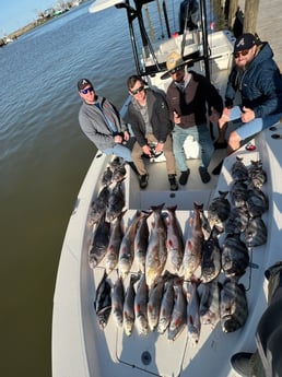 Black Drum, Redfish, Sheepshead fishing in Venice, Louisiana