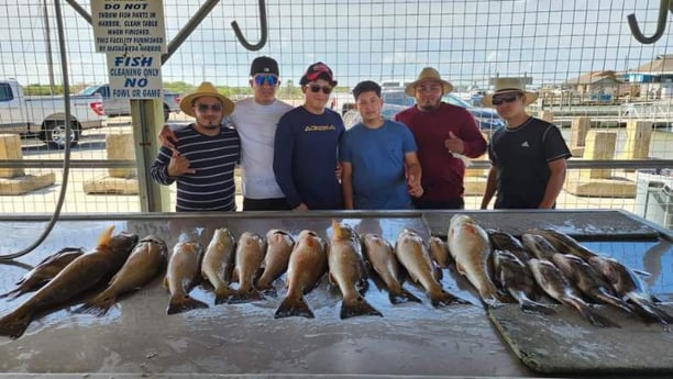 Black Drum, Redfish Fishing in Matagorda, Texas