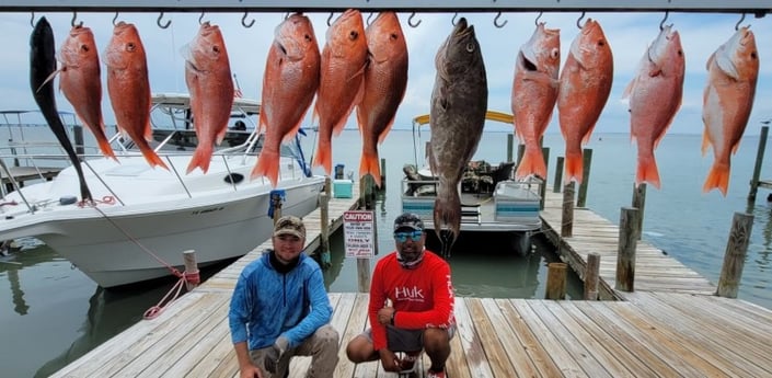 Broomtail Grouper, Red Snapper fishing in South Padre Island, Texas