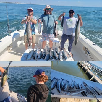 King Mackerel / Kingfish, Spanish Mackerel Fishing in Gulf Shores, Alabama