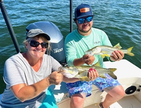 16+ Tampa Bay Fishing Report