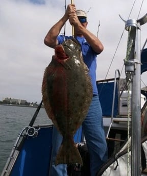 Flounder Fishing in San Diego, California