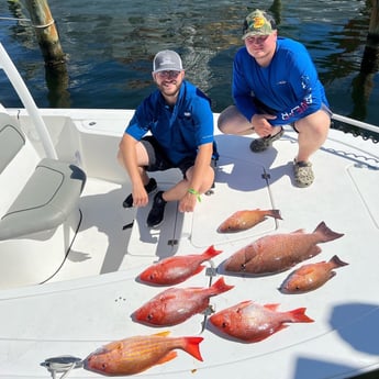 Lane Snapper, Mangrove Snapper, Red Snapper fishing in Panama City, Florida
