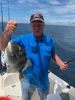 Triggerfish fishing in Atlantic Beach, Florida