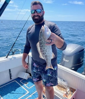 Gag Grouper fishing in Fort Myers Beach, Florida