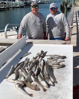 Mullet Snapper Fishing in Beaufort, North Carolina