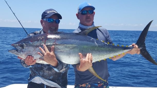 Yellowfin Tuna Fishing in Tampa, Florida