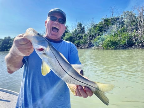 Snook fishing in Tavernier, Florida