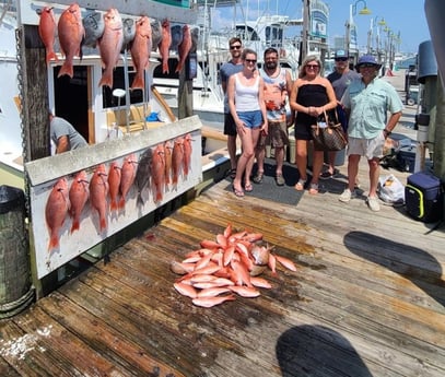 Amberjack, Red Snapper, Triggerfish, Vermillion Snapper Fishing in Destin, Florida