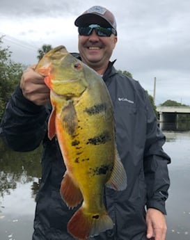 Peacock Bass Fishing in Delray Beach, Florida