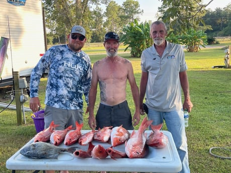 Red Snapper, Triggerfish Fishing in Gulf Shores, Alabama
