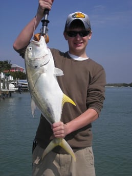 Jack Crevalle fishing in Fort Myers Beach, Florida