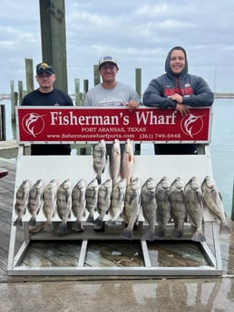 Black Drum, Redfish Fishing in Port Aransas, Texas