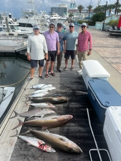Amberjack, False Albacore, Kingfish Fishing in West Palm Beach, Florida