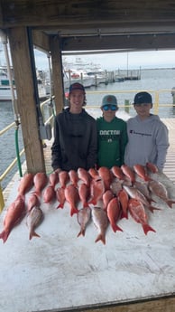 Scup, Vermillion Snapper Fishing in Pensacola, Florida