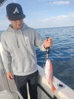 Red Snapper Fishing in Jacksonville, Florida