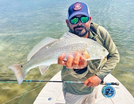 Redfish fishing in Tavernier, Florida