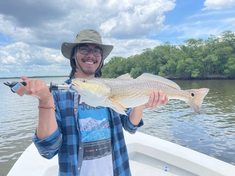 Redfish fishing in Chokoloskee, Florida