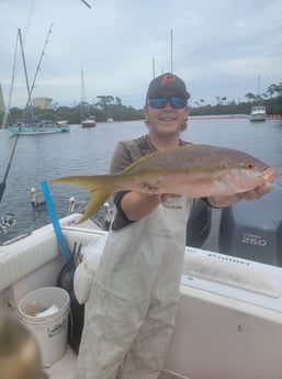 Yellowtail Snapper Fishing in Clearwater, Florida