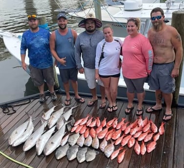 Amberjack, Bream, Redfish, Triggerfish fishing in Port Orange, Florida