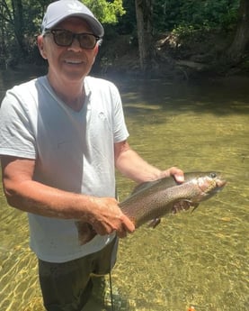 Rainbow Trout fishing in Leicester, North Carolina