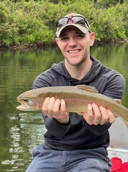 Rainbow Trout Fishing in Leicester, North Carolina