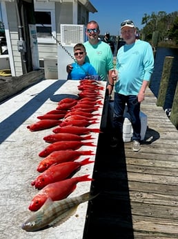 Perch, Vermillion Snapper Fishing in Niceville, Florida