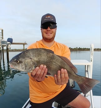 Black Drum fishing in St. Augustine, Florida