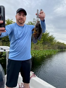 Fishing in Weston, Florida