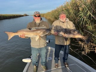 Black Drum, Redfish Fishing in Boothville-Venice, Louisiana