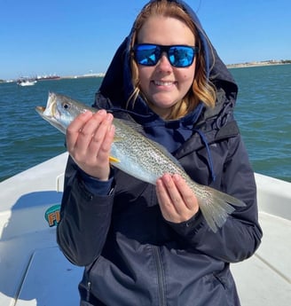 Speckled Trout Fishing in Beaufort, North Carolina