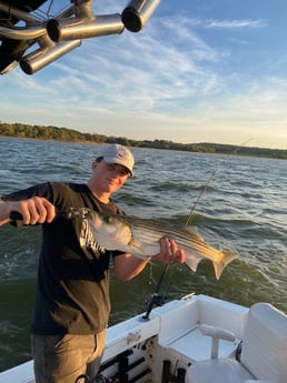 Striped Bass fishing in Pottsboro, Texas