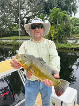 Peacock Bass Fishing in Miami, Florida