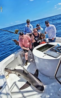 Fishing in Pompano Beach, Florida