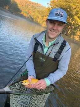 Golden Trout Fishing in Broken Bow, Oklahoma