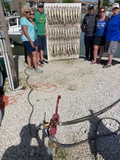 Walleye Fishing in Oak Harbor, Ohio