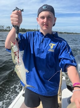 Spanish Mackerel fishing in Panama City, Florida