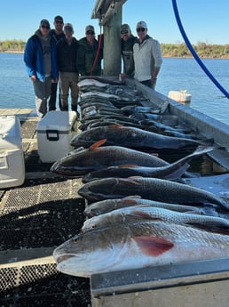 Black Drum, Redfish, Speckled Trout Fishing in Sulphur, Louisiana