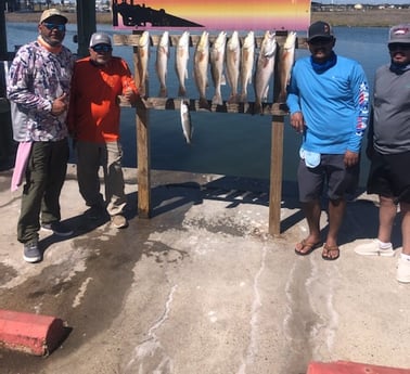Redfish, Speckled Trout Fishing in Rockport, Texas
