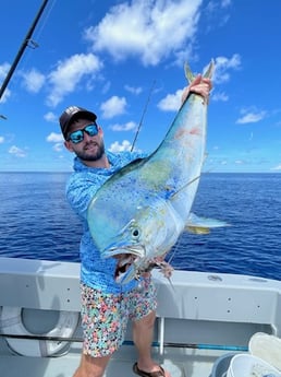 Mahi Mahi Fishing in Key West, Florida
