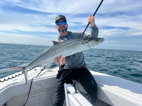 Kingfish Fishing in Bokeelia, Florida