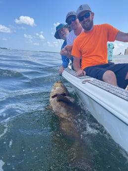 Goliath Grouper Fishing in Cape Coral, Florida
