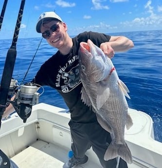 Grunt Fishing in Key Largo, Florida